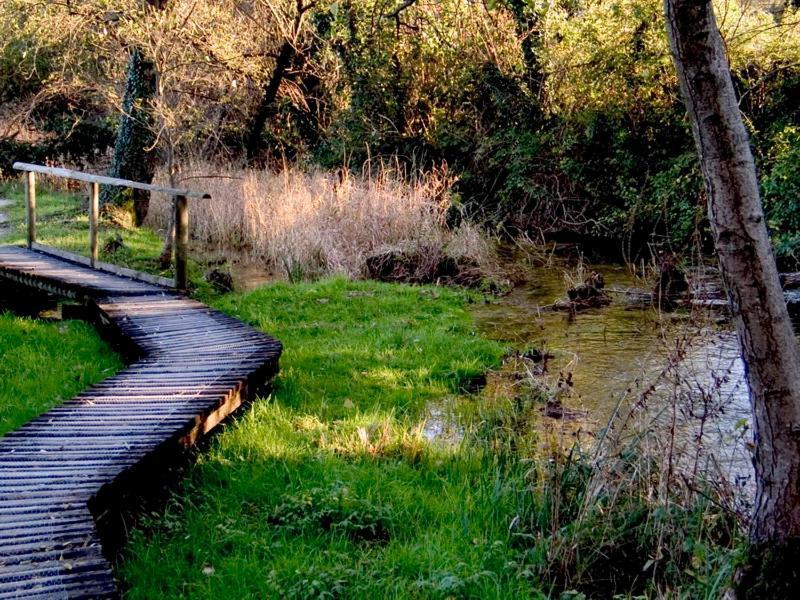 Nifty Intera Villa Con Piscina Relax, Idromassaggio E Sauna Muscletto Εξωτερικό φωτογραφία